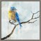 Little Blue Bird I by Ken Roko 16-in. W x 16-in. H. Canvas Wall Art Print Framed in Grey